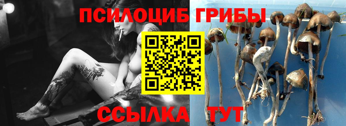 Псилоцибиновые грибы Psilocybine cubensis  как найти   Вход с VPN  Заводоуковск  Псилоцибиновые грибы Magic Shrooms 