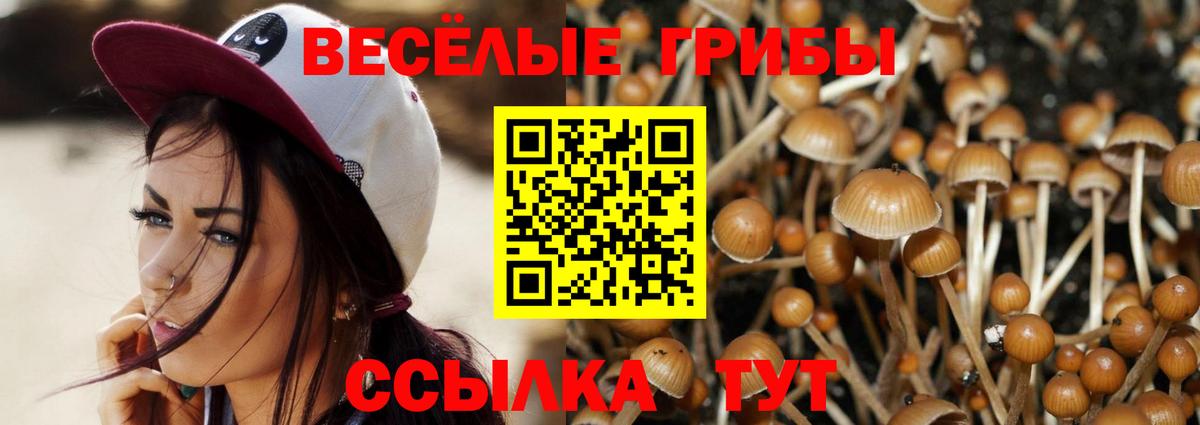 Псилоцибиновые грибы Psilocybine cubensis Заводоуковск