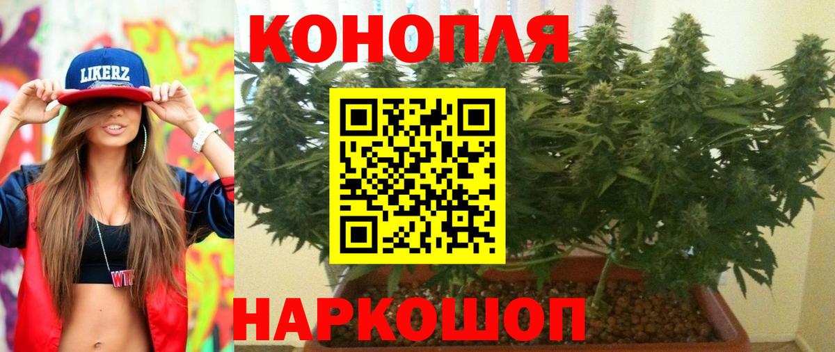 Бошки Шишки конопля Заводоуковск