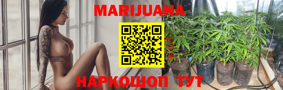 Заводоуковск  Канабис гибрид  МАРИХУАНА планчик  Вход с VPN  Бошки Шишки AK-47 
